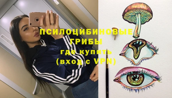 a pvp Володарск