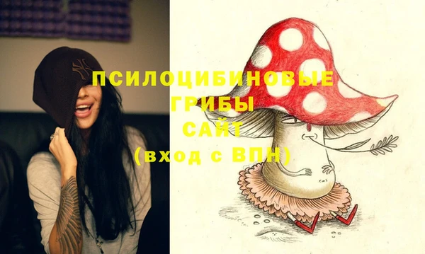 a pvp Володарск