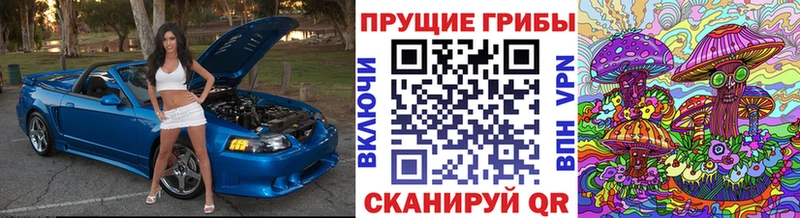наркота  Семикаракорск  Псилоцибиновые грибы ЛСД 
